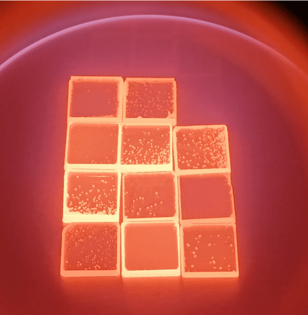 CVD Seeds Polishing Machine